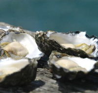 Jim Wilds Oyster Service - Redcliffe Tourism