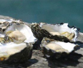 Jim Wilds Oyster Service - Redcliffe Tourism 0