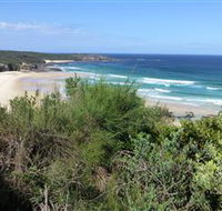 South Pacific Heathland Reserve - Redcliffe Tourism