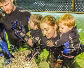 Bobs Farm NSW Redcliffe Tourism