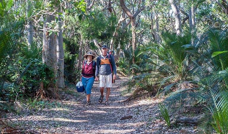 Benandarah NSW Redcliffe Tourism