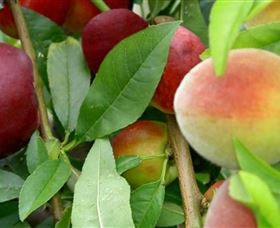 Eungai Creek NSW Redcliffe Tourism