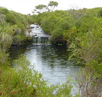 Booderee National Park Green Patch and Telegraph Creek Walking Tracks - Redcliffe Tourism