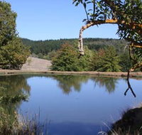 Oak Grove Walk Balingup - Redcliffe Tourism