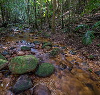 Starrs Creek picnic area - Redcliffe Tourism