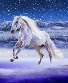 Australian Outback Spectacular: High Country Legends - Redcliffe Tourism 1