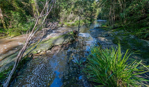 Dawson River Walking Track - Redcliffe Tourism 0