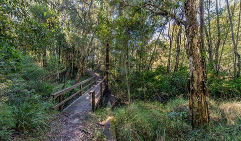 Dawson River Walking Track - Redcliffe Tourism 1