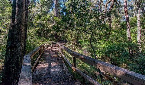 Dawson River Walking Track - Redcliffe Tourism 3