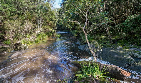 Brimbin Picnic Area - Redcliffe Tourism 2