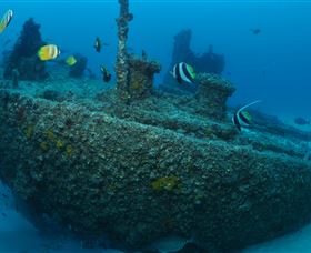 Curtain Artificial Reef Dive Site - Redcliffe Tourism 1
