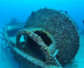 Curtain Artificial Reef Dive Site - Redcliffe Tourism 3