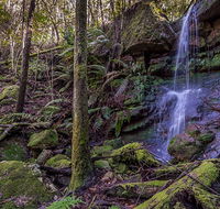 Coorabakh National Park - Redcliffe Tourism