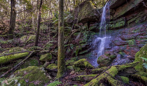 Coorabakh National Park - Redcliffe Tourism 0