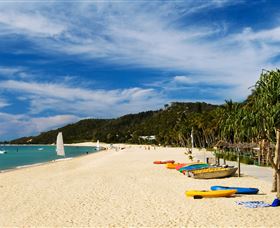 Tangalooma Dolphin Feeding - Redcliffe Tourism 2