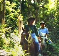 Clarendon Forest Retreat Horse Riding - Redcliffe Tourism
