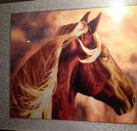 Silk Art Gallery - Redcliffe Tourism
