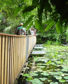 Leycester NSW Redcliffe Tourism