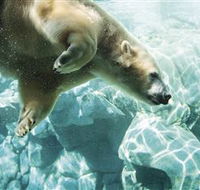 Australia's Sea World - Redcliffe Tourism