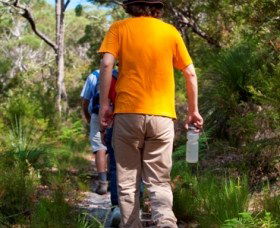 Naree Budjong Djara National Park - Redcliffe Tourism 3