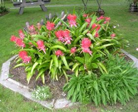 Moorlands Cottage And Gallery - Redcliffe Tourism 2