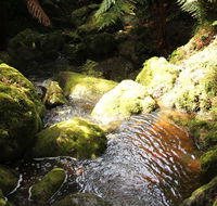 South East Forests National Park - Redcliffe Tourism