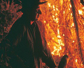 The Shed Gallery - Redcliffe Tourism 0