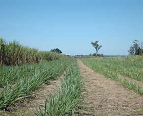 The Shed Gallery - Redcliffe Tourism 1