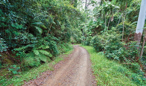End Peak Walking Track - Redcliffe Tourism 2