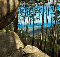 Mount Gulaga Mount Dromedary Walk - Redcliffe Tourism