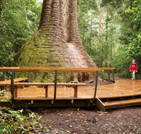 Burrawan State Forest - Redcliffe Tourism