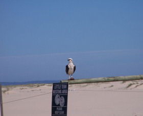 Manning Entrance State Park - Redcliffe Tourism 1