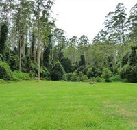 Kerewong State Forest - Redcliffe Tourism