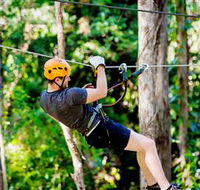 TreeTop Challenge Currumbin - Redcliffe Tourism