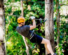 TreeTop Challenge Currumbin - Redcliffe Tourism 0