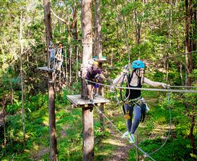 TreeTop Challenge Currumbin - Redcliffe Tourism 1