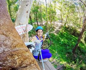 TreeTop Challenge Currumbin - Redcliffe Tourism 3
