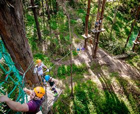 TreeTop Challenge Currumbin - Redcliffe Tourism 2