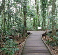 Victoria Park boardwalk - Redcliffe Tourism