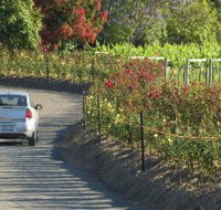 Cassegrain Wines - Redcliffe Tourism