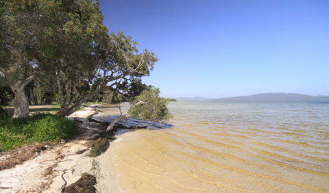 Booti Booti National Park - Redcliffe Tourism 1