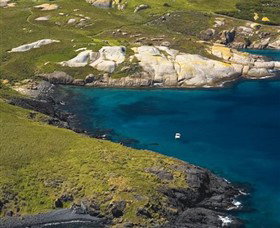 Montague Island Nature Reserve - Redcliffe Tourism 1