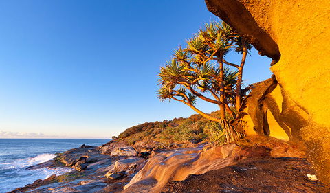 Angourie To Brooms Head - Redcliffe Tourism 1
