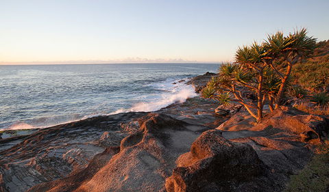 Angourie To Brooms Head - Redcliffe Tourism 2