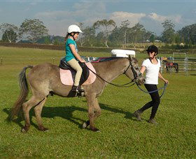 Port Macquarie Horse Riding Centre - Redcliffe Tourism 0