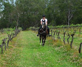 Port Macquarie Horse Riding Centre - Redcliffe Tourism 1