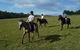 Port Macquarie Horse Riding Centre - thumb 5