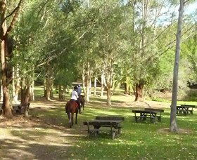 Port Macquarie Horse Riding Centre - Redcliffe Tourism 6