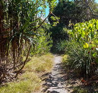 North Head walking track - Redcliffe Tourism