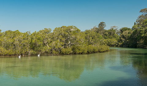 Tyagarah Nature Reserve - Redcliffe Tourism 0